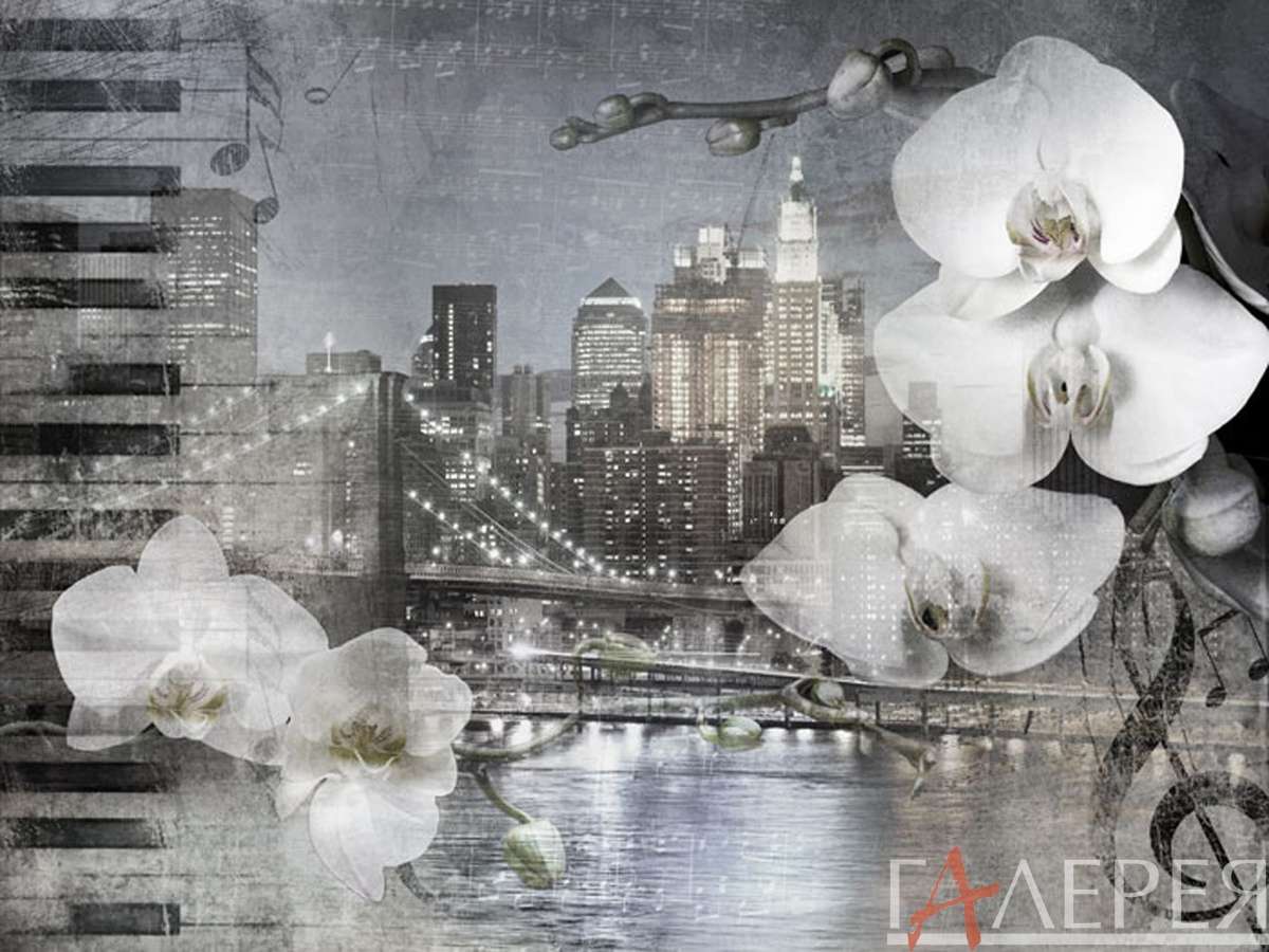 Коллаж, орхидея, город, мост, ночной город, арт, ретро