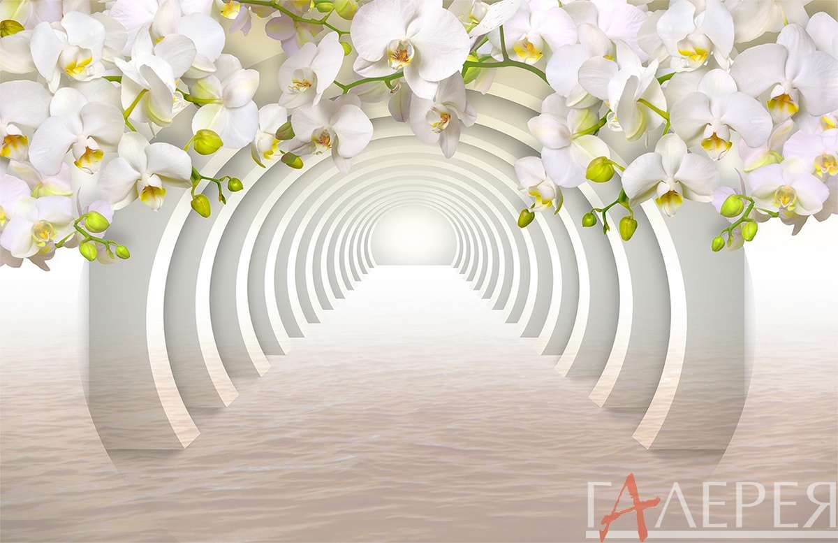 3d эффект, цветы, орхидеи, туннель