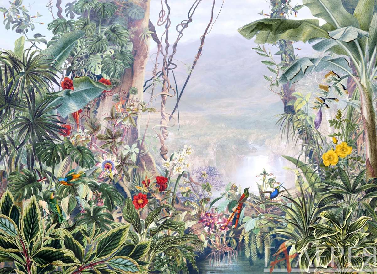Тропические листья, тропические цветы, птицы, колибри, тропический лес