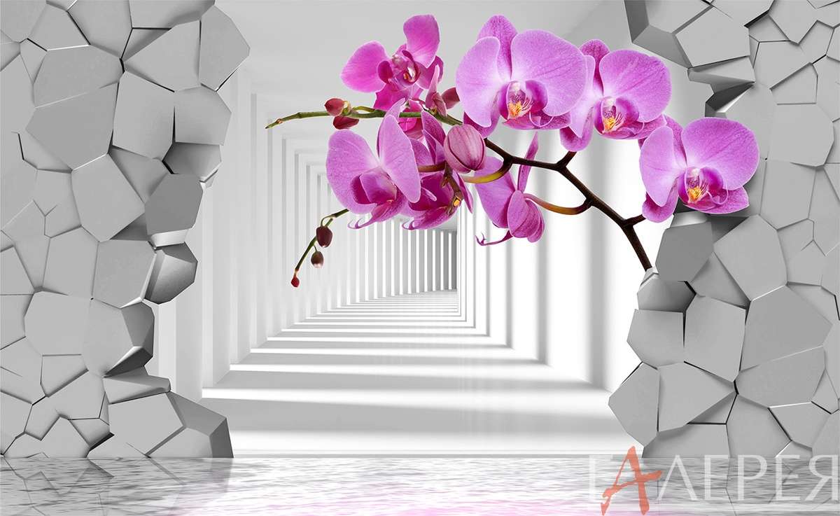 3d эффект, цветы, орхидеи, стена, пролом в стене, туннель