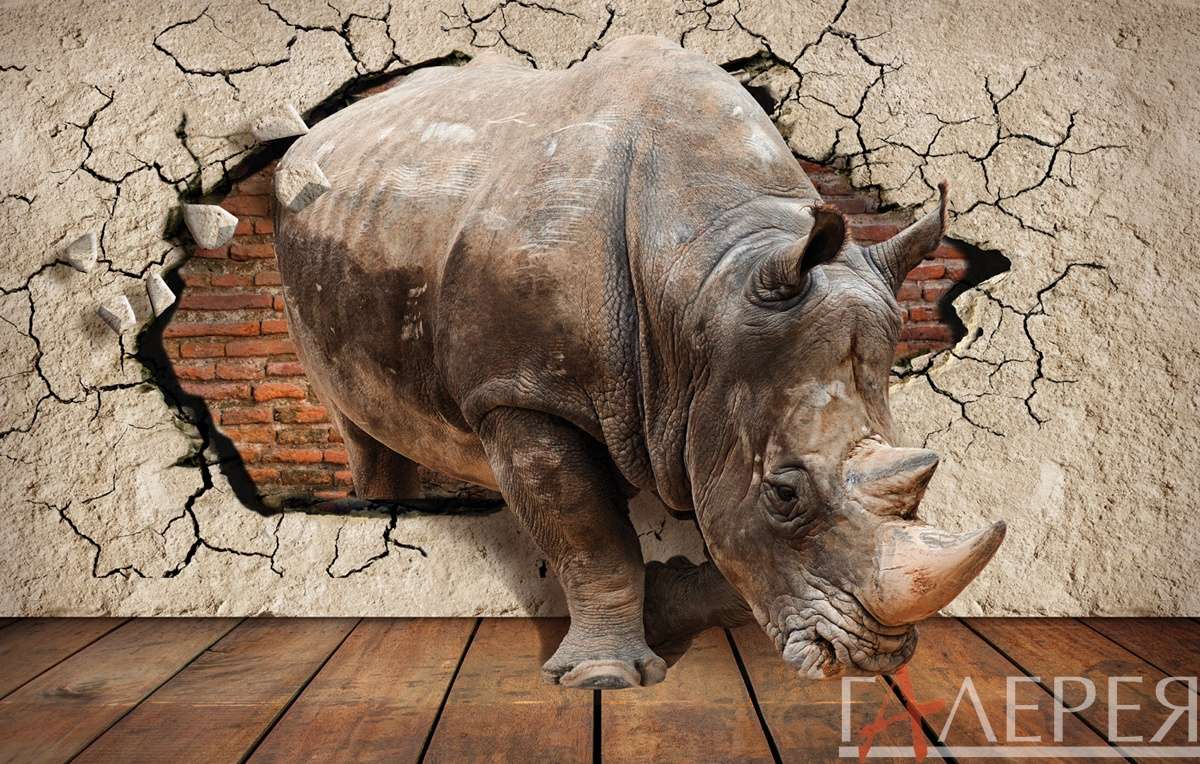 пролом в стене, кирпичная стена, бегемот, носорог