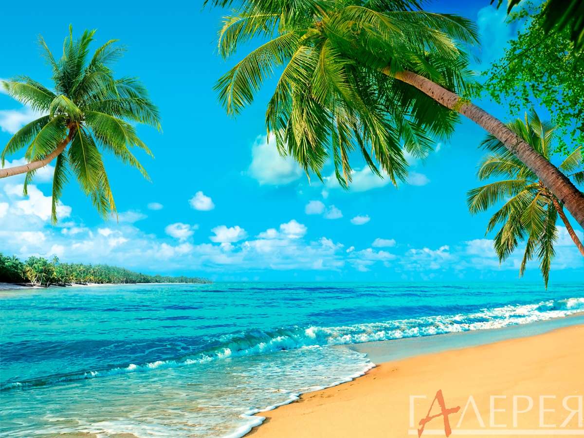 Природа, Море, тропический пейзаж, пальмы, пляж