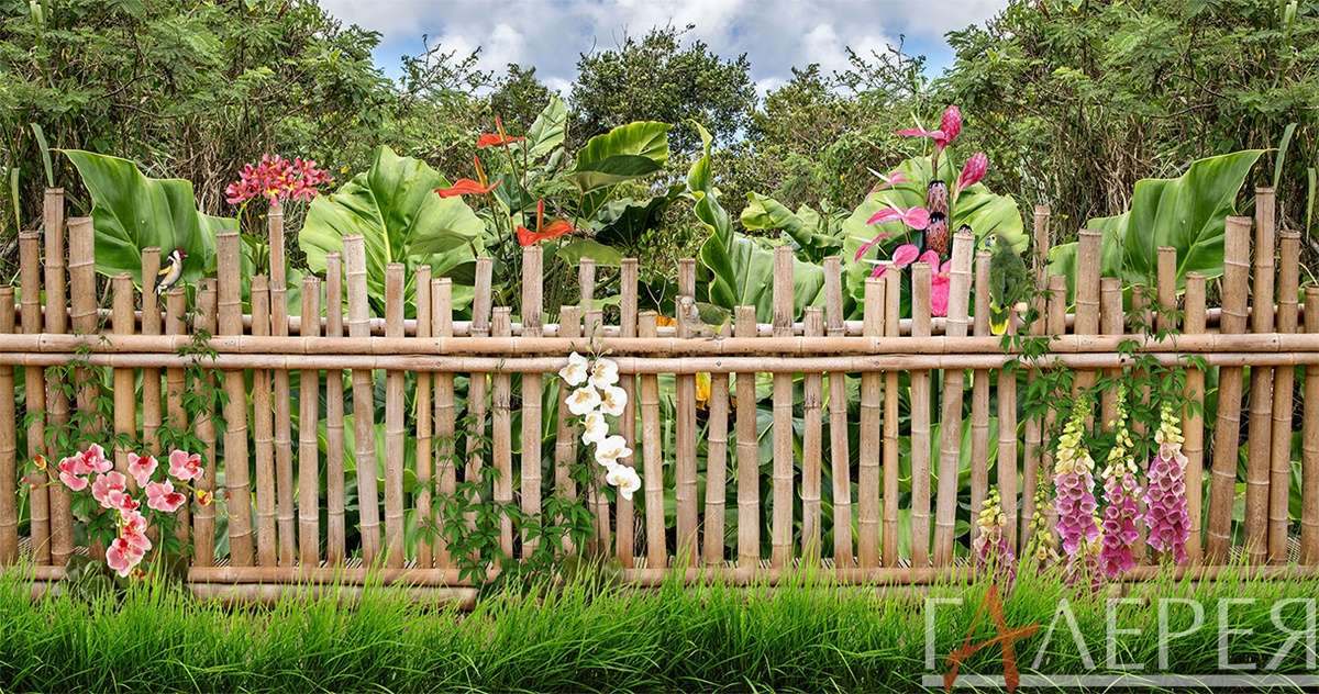Природа, Пейзажи, забор, бамбук, бамбуковый забор, трава, орхидея на заборе, львиный зев, листья, большие листья, деревья, цветы